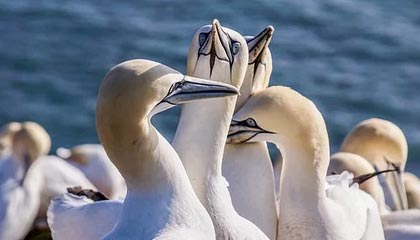 fb体育官网电脑版-李明爆发：28分8篮板5助攻，展现全能表现！，李明什么水平