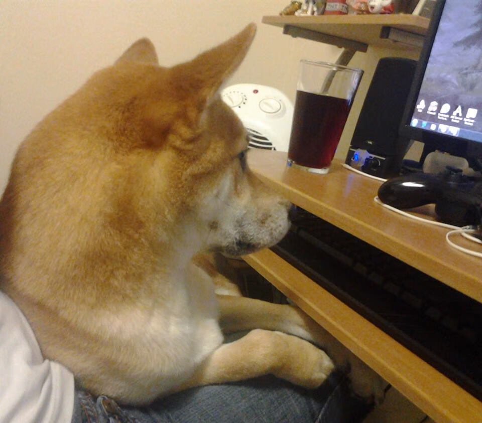 fb体育平台官网-球迷“热搜”排行榜：最受关注的欧冠比赛瞬间，欧冠热门球星