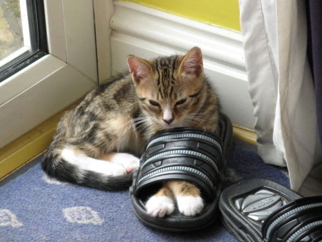 fb体育登录入口-英超：曼城在补时绝杀利物浦，局势再度变得扑朔迷离，英超曼城对利物浦赛前分析