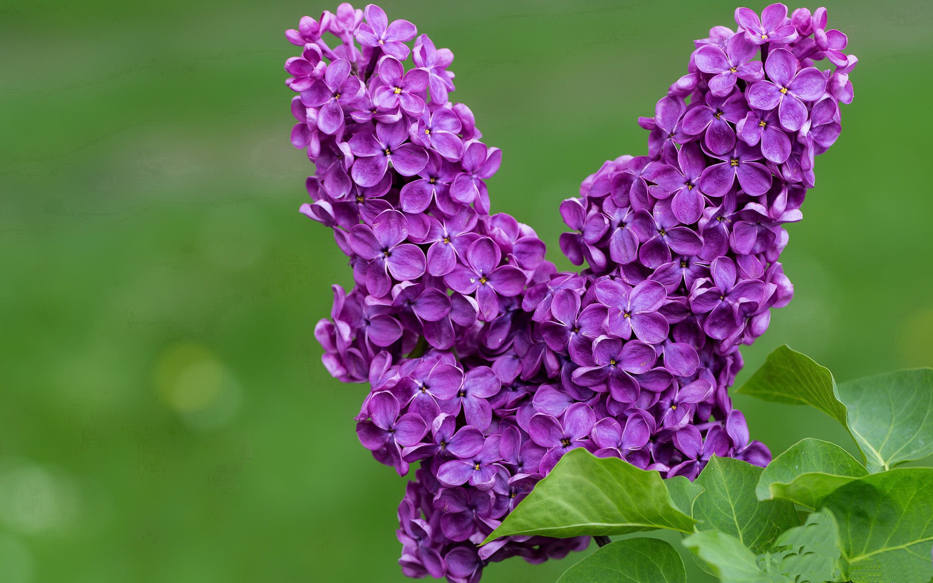 fb体育娱乐-LCS推动电竞与高校合作，电竞高校联赛方案