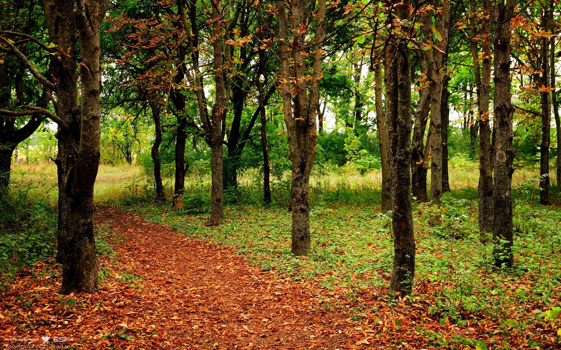 fb体育试玩-中国反曲弓男队在射箭世界杯韩国站获得团体银牌，反曲弓奥运会比赛规则