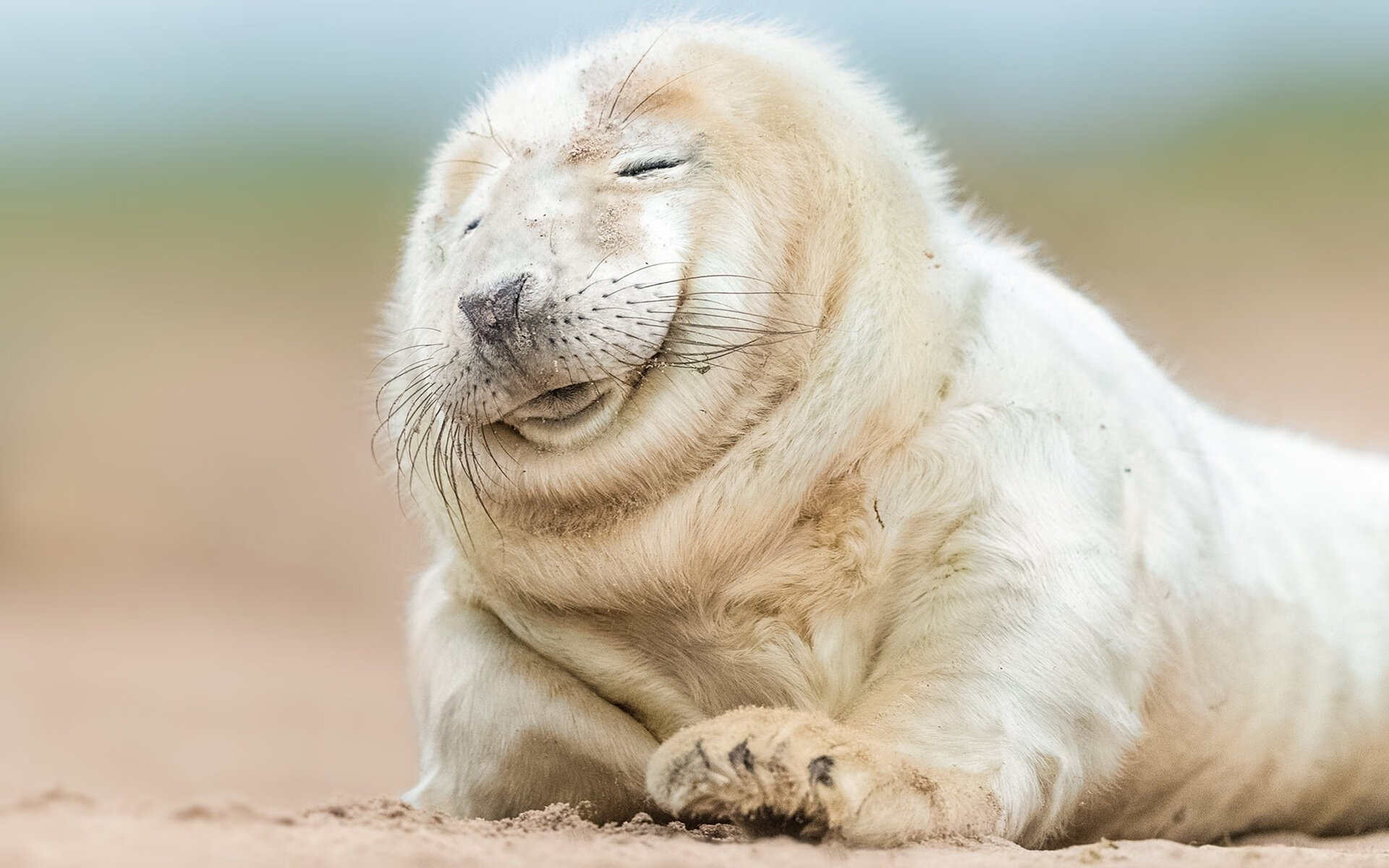 fb体育官网首页-推动瑜伽与旅游业结合，发展瑜伽旅游，瑜伽旅程