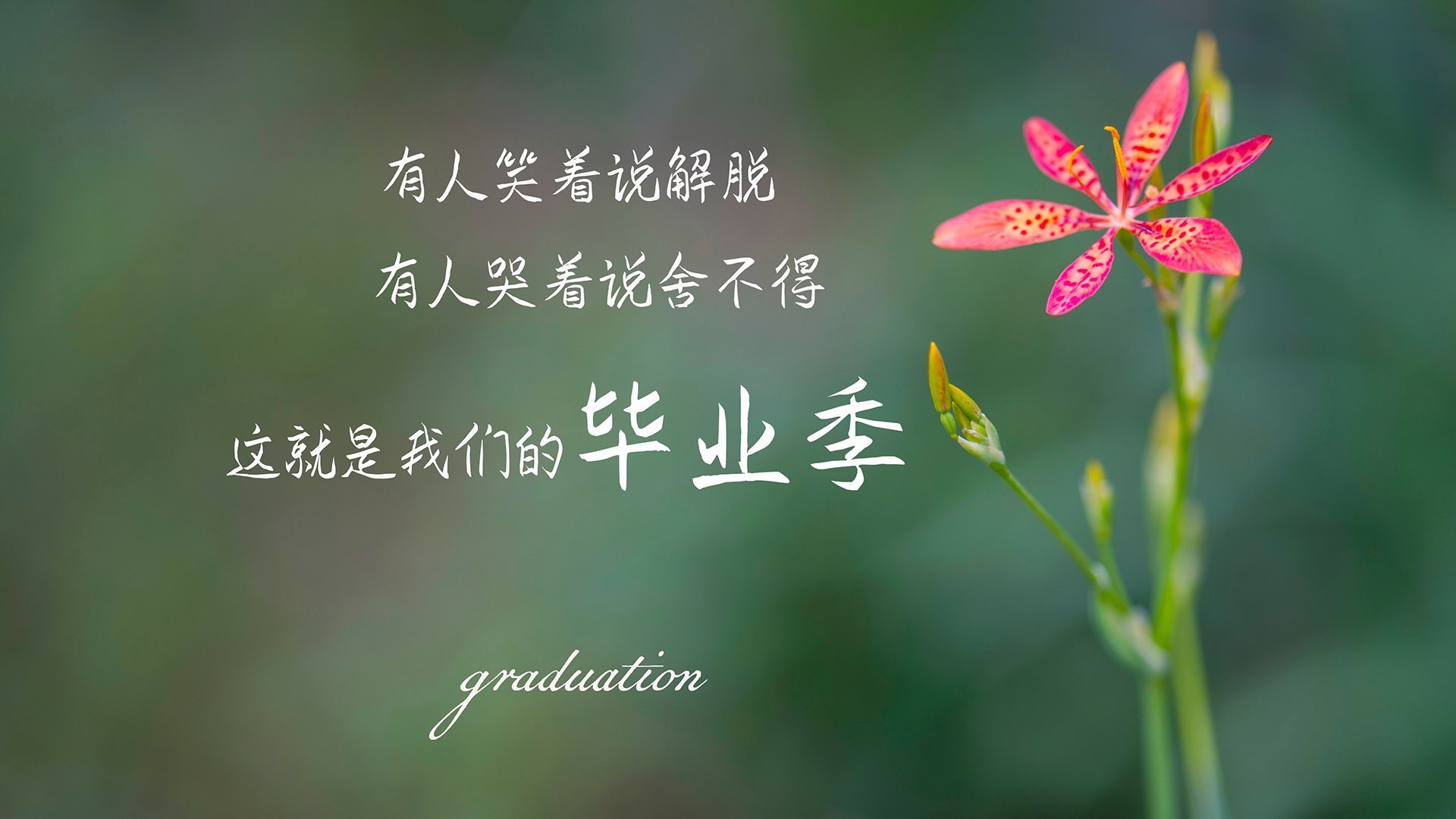 瑞典选手 Brollan 加入 Fnatic,期待带队复苏,瑞典buff