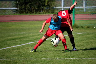 FB真人电子游戏-中国足球俱乐部运营效率调查，中国足球俱乐部运营效率调查问卷