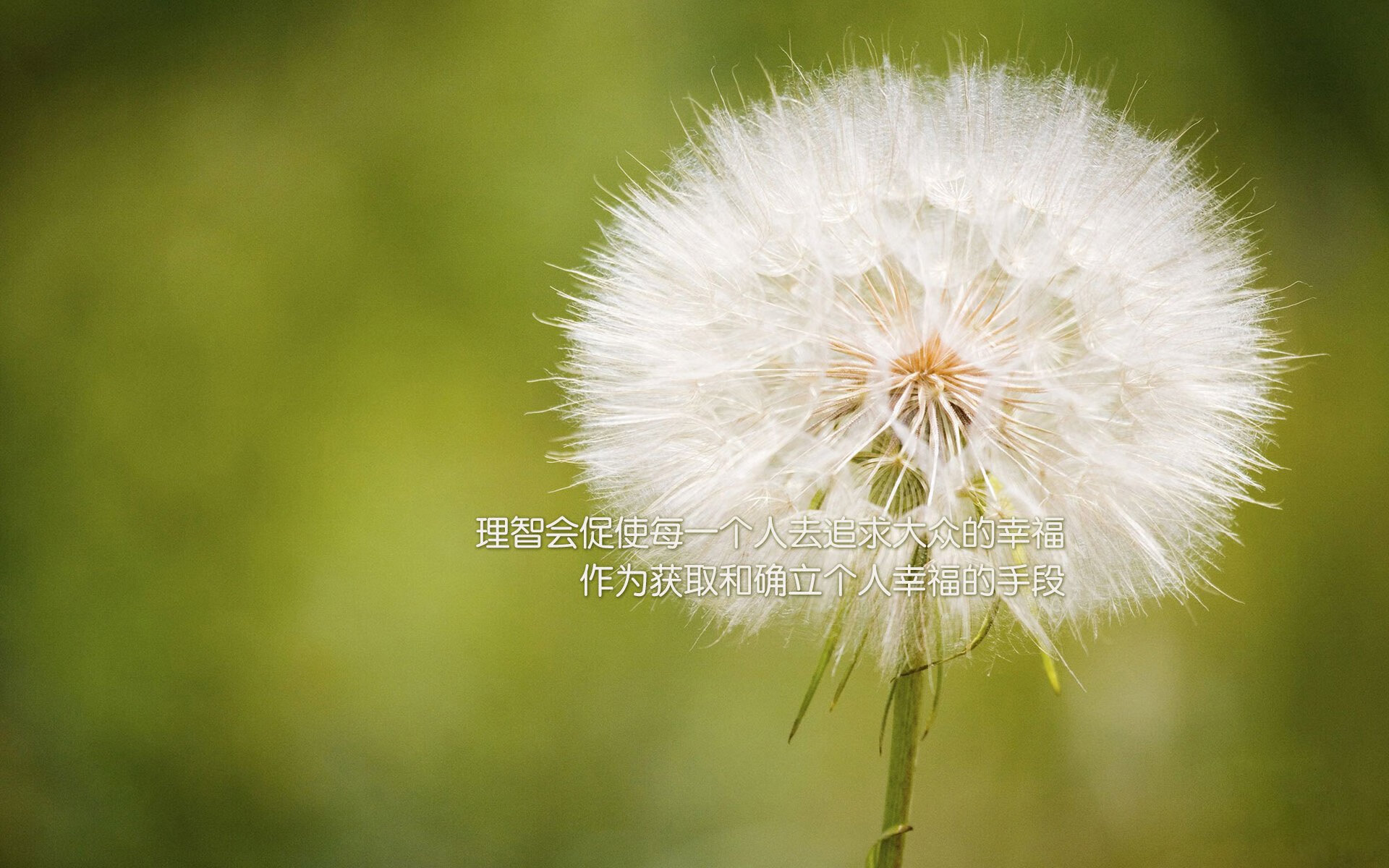 fb体育下载-法甲防守战术调整对比赛节奏与犯规率的影响分析，法甲比赛规则