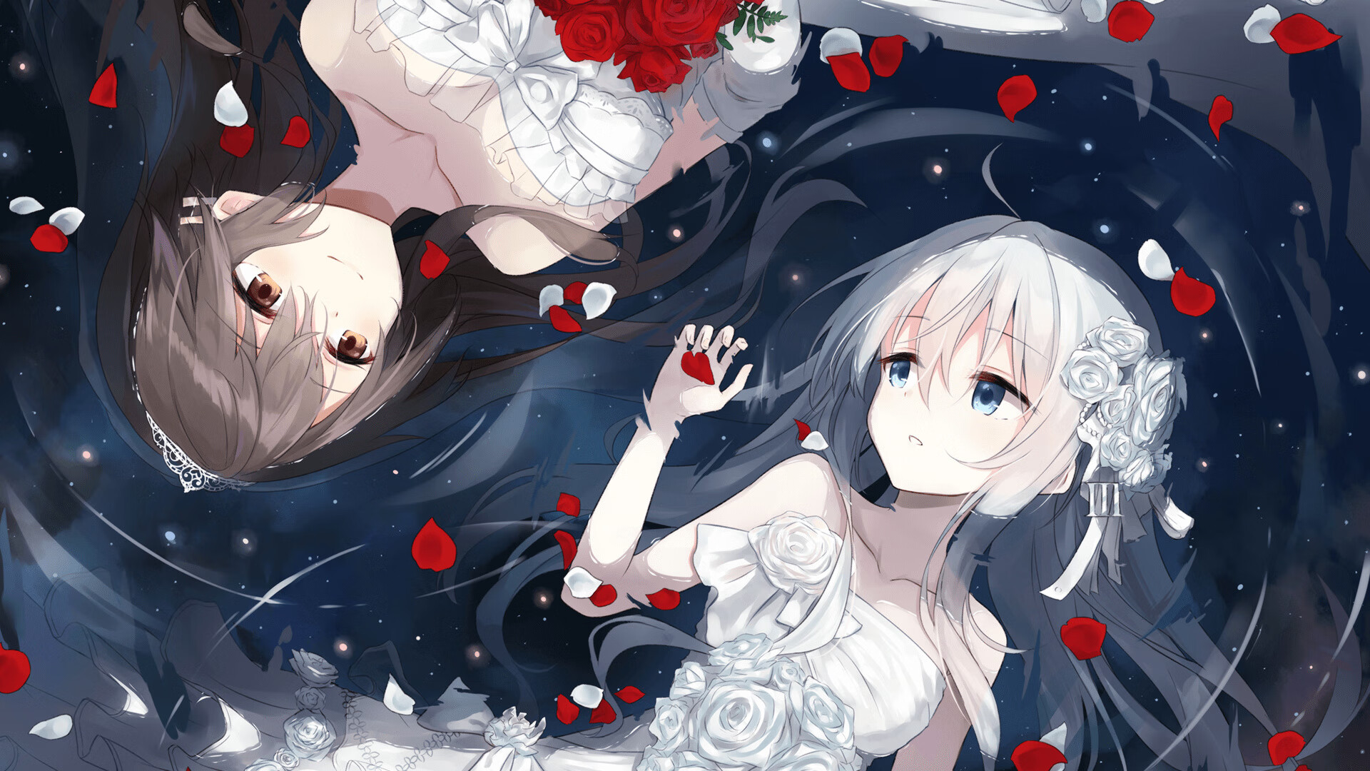 “极限对抗，四川省体育馆自由搏击赛一触即发！”