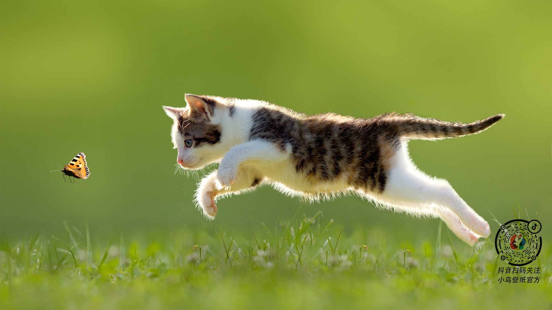 fb体育首页-未来足球场馆采用太阳能发电，推动绿色可持续环保，足球场有暖气吗