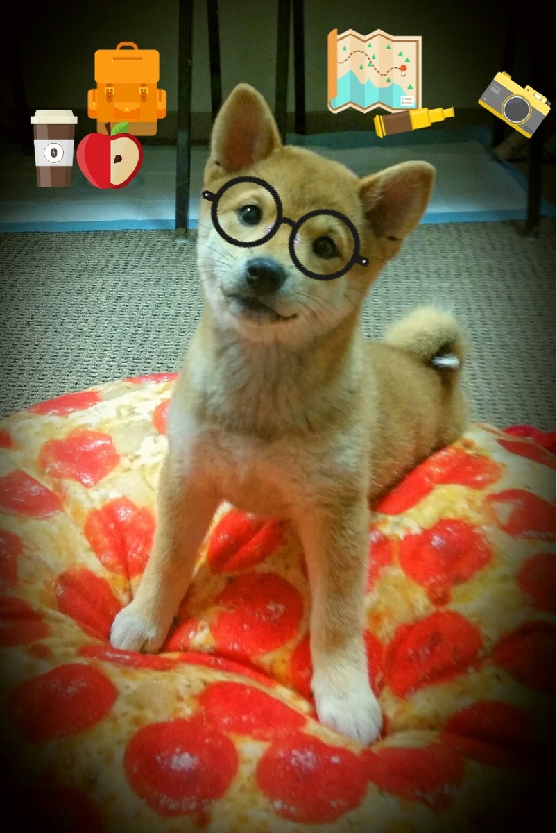 fb体育注册网址-球队间谍门风波调查启动，赛场公平性受关注，足球间谍